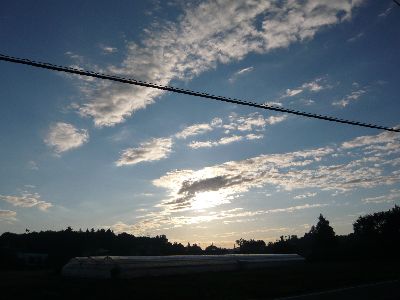 境内からの朝焼け空