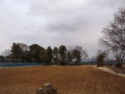 周囲の風景（芝畑）