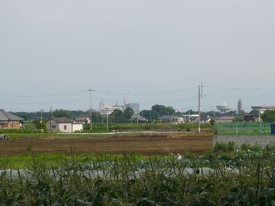 周囲の風景