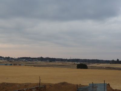 周囲の風景