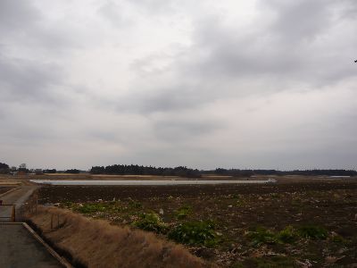 周囲の風景