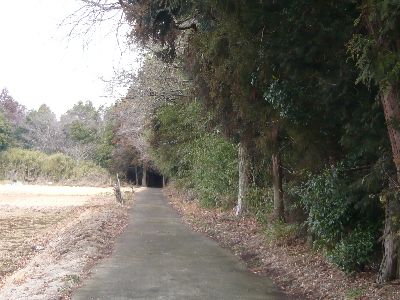 熊野神社の参道