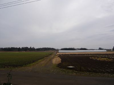 周囲の田園風景