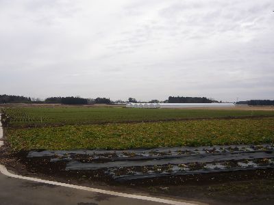 周囲の田園風景