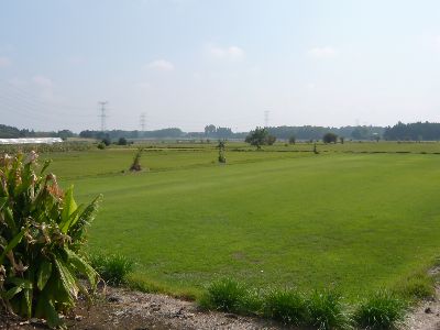 境内からの風景