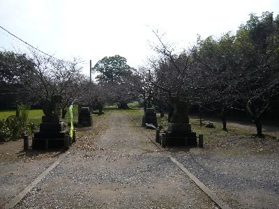 二の鳥居から大鳥居方向