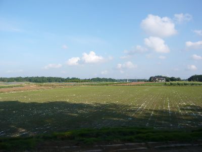 周りの風景