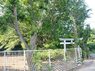 神社の全景