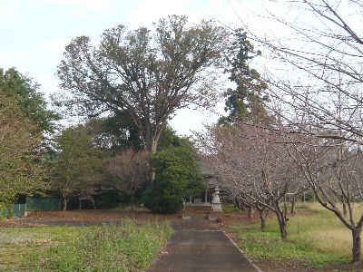 参道の様子