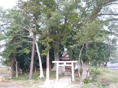 神社の全景