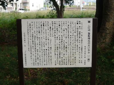 大ケヤキ説明看板