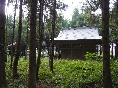 神社の全景