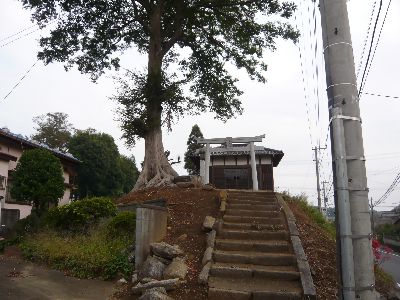 神社の全景