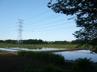 周囲の風景