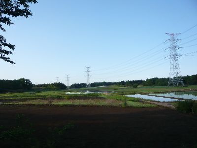 周囲の風景