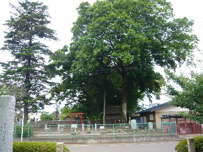 神社の全景