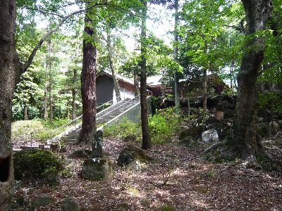 神社を見上げる