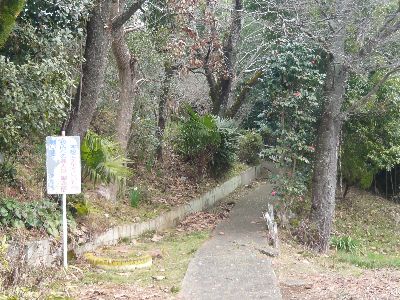 小学校への通り道