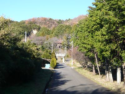 参道の様子