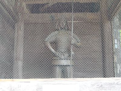 倭建命(左)