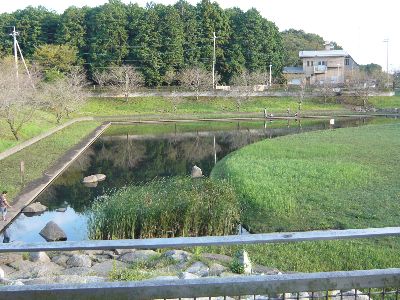 公園の様子