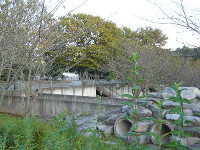 公園の様子