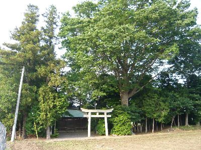 神社の全景