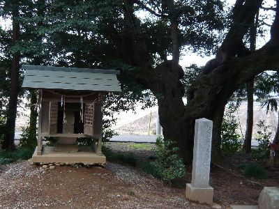 白幡正八幡宮