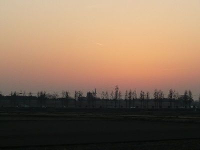 夕焼け(飛行機雲)