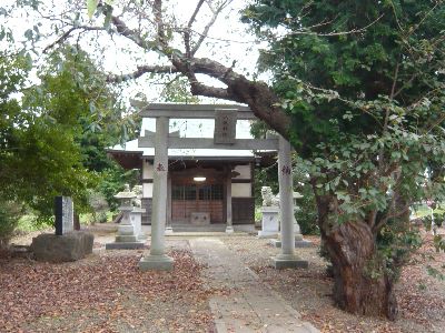 参道と鳥居