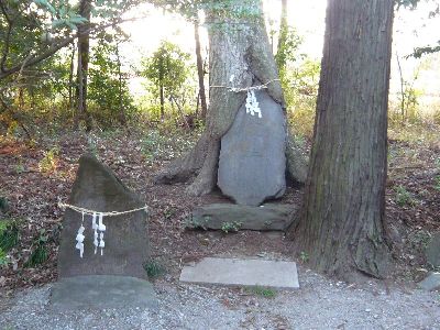 一体の石木の祭神