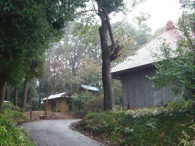 神社の全景