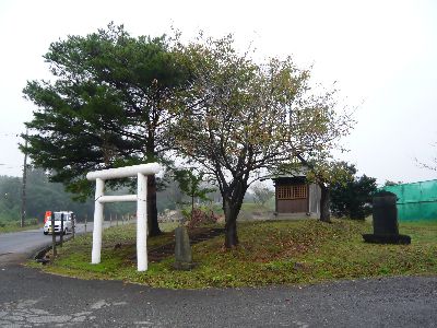 神社の全景