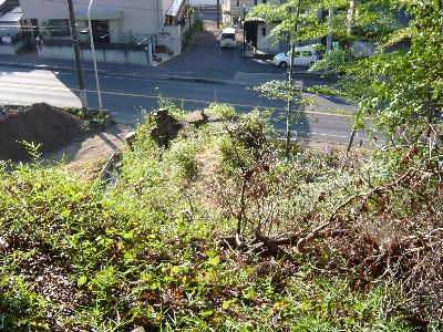 壊れた参道の石段