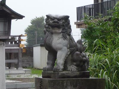 狛犬(阿形)