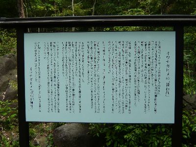 イワナガヒメの謂われ
