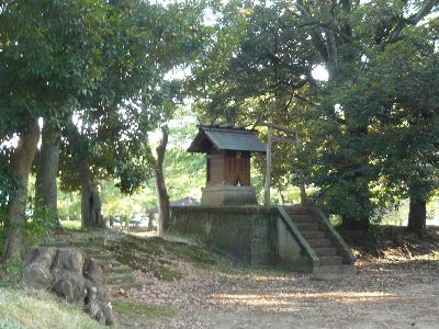 公園内の様子