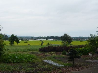 境内から見る田園風景