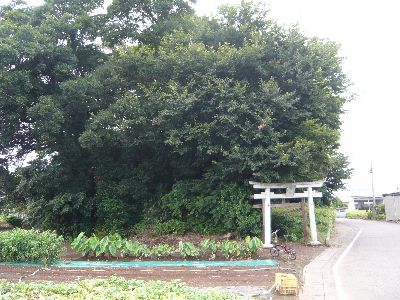 神社のある森