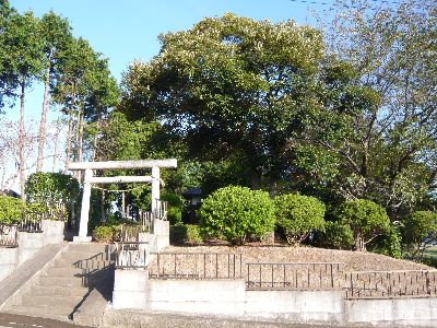 神社の全景