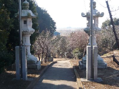 鳥居より参道