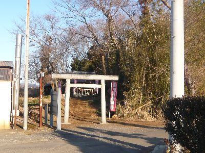 神社の全景