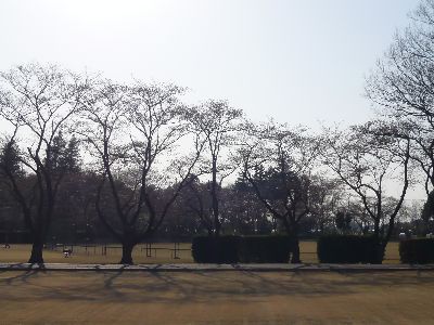 境内隣の運動公園