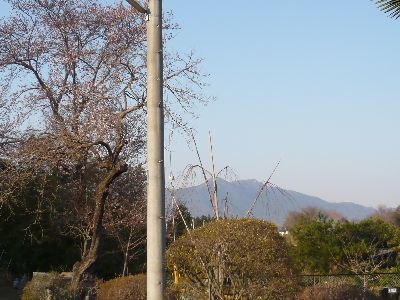 境内から筑波山を望む