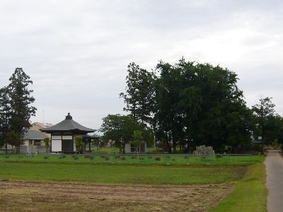 お寺の全景