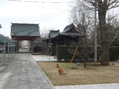 境内から山門