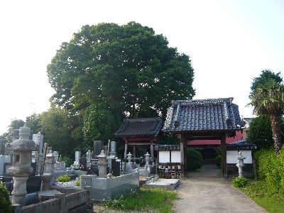 伽藍の全景