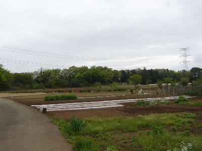 堂裏の風景