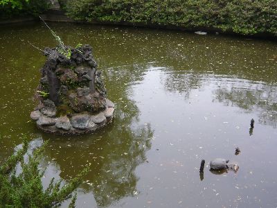 弁財天池の亀