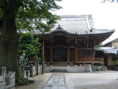 照光寺のエノキと本堂